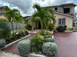 West Palms of west village