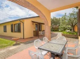 Il Girasole - Corbezzolo