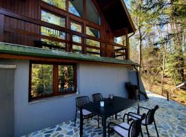Wild House, cabin in Sinaia