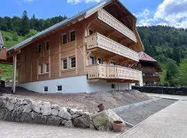 Schwarzwaldhaus - Fewo Fichte, St Blasien - Menzenschwand