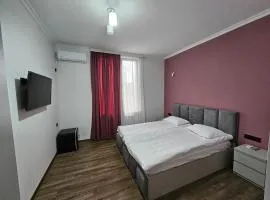 Urban hotel Tsalenjikha