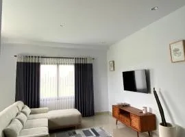 Studio Suite