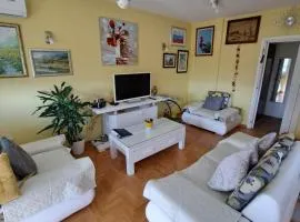 Apartman Swiss