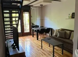 Luxury Apartment Palermo Hollywood