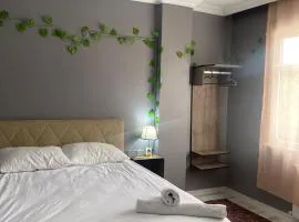 Airport Forest Room