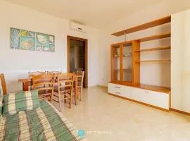 Orchidea Flat - Roca