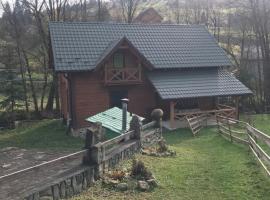 Трембіта котедж, cabaña o casa de campo en Yablunytsya
