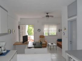 Summer Family House with sea view and garden, hotel en Kriopigi