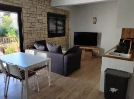 Jolie et Moderne T2 Mezzanine - SANTA FE 116