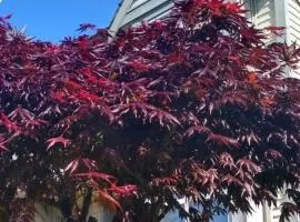 Marine Drive Station Entire House