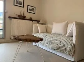 Biarritz studio extra centre grande plage