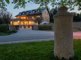 Resort - D9, guest house in Želnava