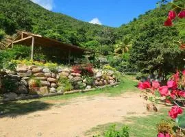The Hillside Eco-Retreat