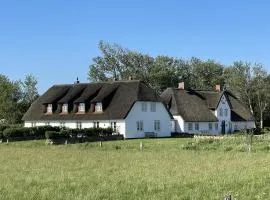 Litzkow 16501