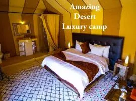 Amazing Desert Luxury Camp