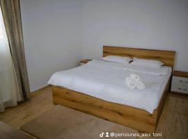 Pensiune Vințișoara, ξενοδοχείο σε Sebeş
