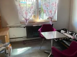 Apartmán K Lomu 960