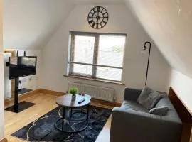 Spacious 1 bedroom apartment in Norwich city centre APT 9A