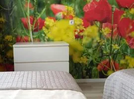 Haus Abendsonne Hochparterre klein