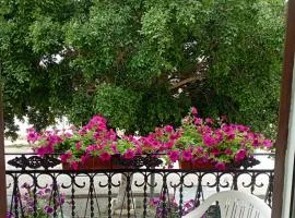 Casa bluchic Gioisia