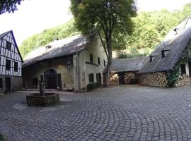 Remise einer historischen Wassermühle im Hunsrück, hotel en Morbach
