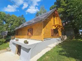 Amazing Home In Medak With Kitchen