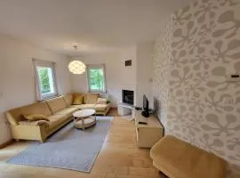 APARTMA GONZO