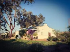 Romantic Vintage Cottage, Views across vineyards.