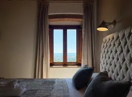 Bouganville