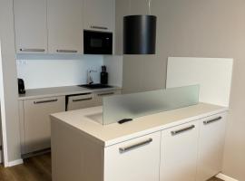 Violet Apartment, budgethotel i Brno