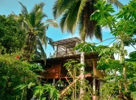 La tarima del colibri Ecolodge