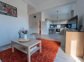 Anastasia's lemon garden