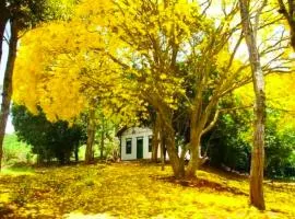 Fazenda inteira e centenária para seu grupo