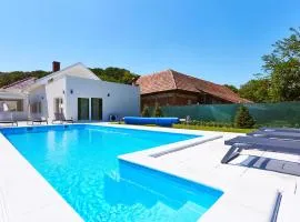 6 Bedroom Stunning Home In Podgrade