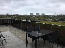 Stor lejlighed tæt på Århus C. Stor tagterrasse