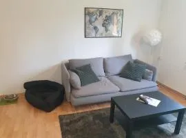 Ferienwohnung ErzHome
