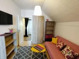 Арartment IRENA