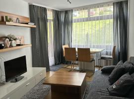 2 Zimmer Appartement mit Pool im Haus, hotell i Schluchsee