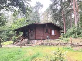 Ferienhaus Waldeule