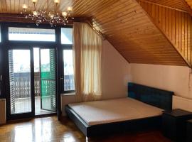 Luxury 3 BR Vila in a forest 10min drive from city center, hotel in Budapest