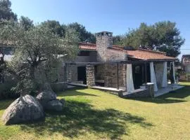 Olive Tree Garden Villa