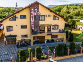 Pensiunea Teo, pension in Caransebeş