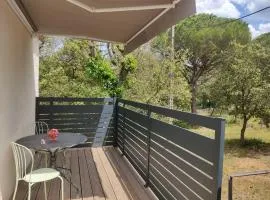 Studio dans la forêt provençale
