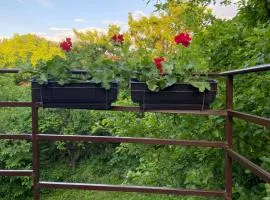 Apartman Jelena Sumarice