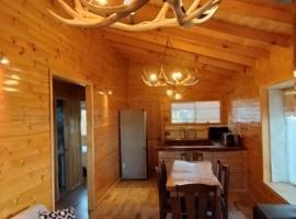 Cabaña Puyehue, accommodation in Puyehue