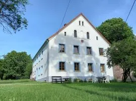 Biała Kalina Kaczawy