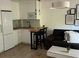 Apartamentos turísticos Casa Ruiz