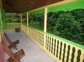 Maison charmante à Gros-Morne avec terrasse et jardin