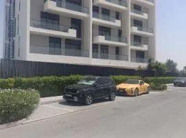 Luxury 2 Bed Room Entire Apt Furnished