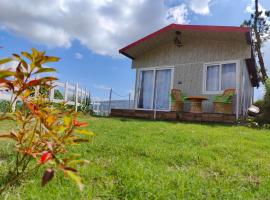 Adaara Retreat - Pet Friendly Cottages, Almora, hotel in Almora